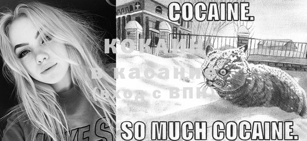 дурь Лиски